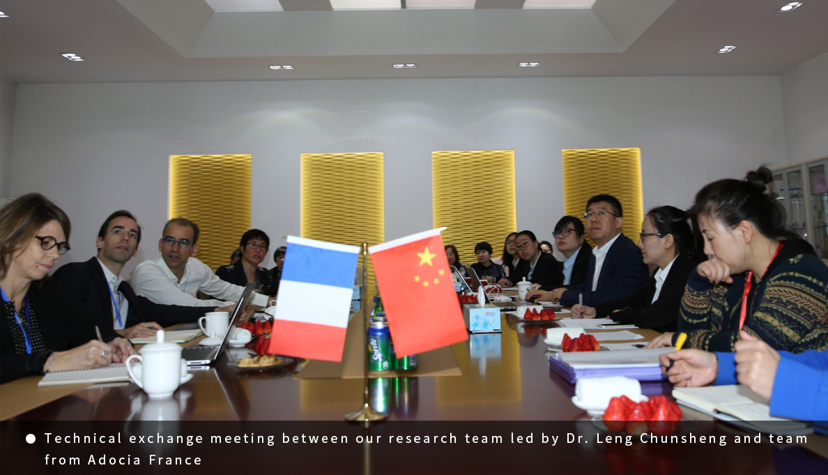 BG��Ѷ����