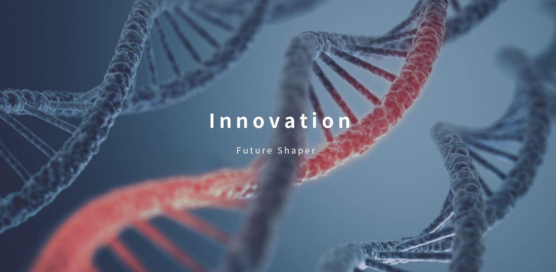 BG��Ѷ����