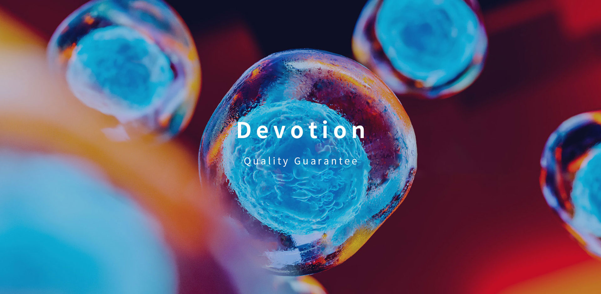 BG��Ѷ����